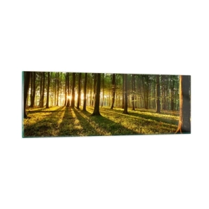 Obraz na skle - Fotografie všetkých jarí - 90x30 cm