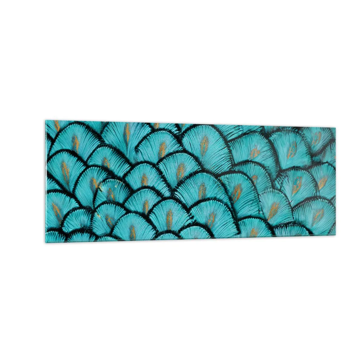 Obraz na skle - Veľká slávnosť peria - 140x50 cm