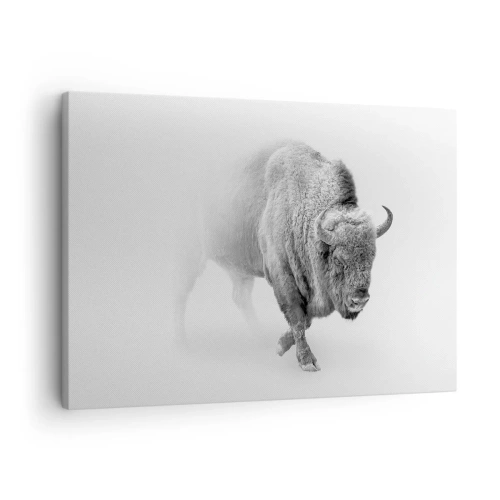 Obraz na plátne - Biely bizón v minimalistickom prostredí - 70x50cm - Kráľ prérie - Moderná nástenná dekorácia do obývacej izby a spálne ARTTOR