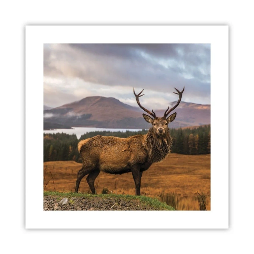 Plagát - Majestát prírody - 40x40 cm