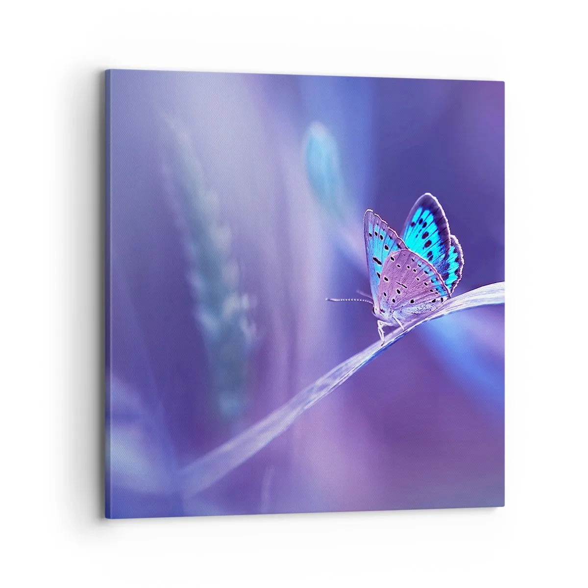 Obraz na plátne - Klenot prírody - 70x70 cm