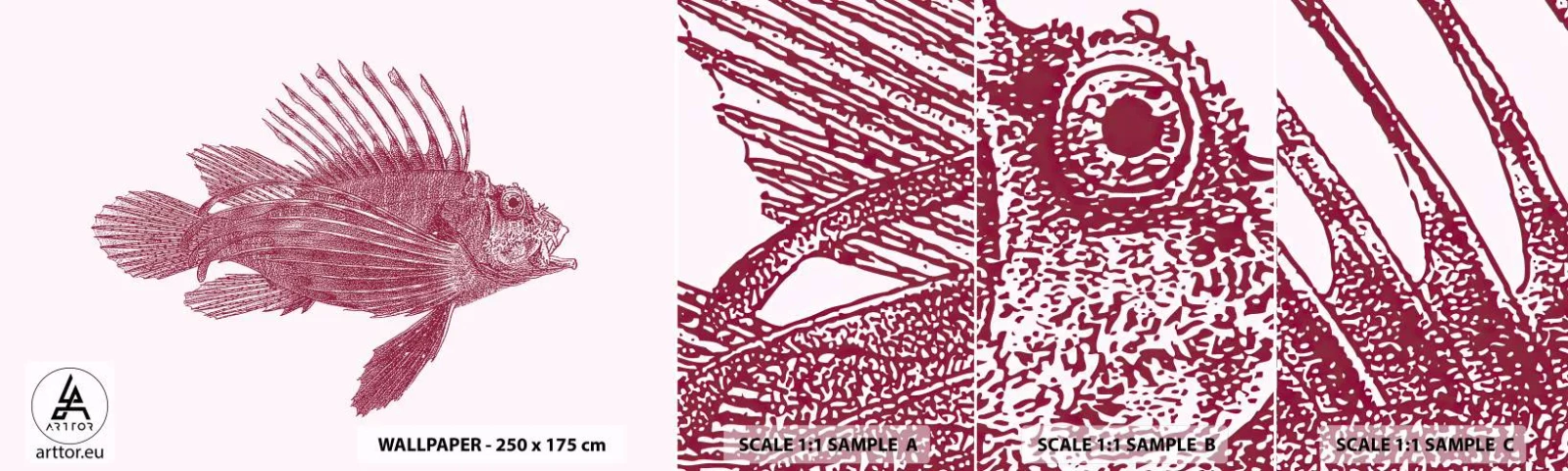 Vzorka samolepiacej fototapety Deluxe Sticker - Obyvateľka exotických vôd - Ryby, perutýn, Tropické - 100x30 cm