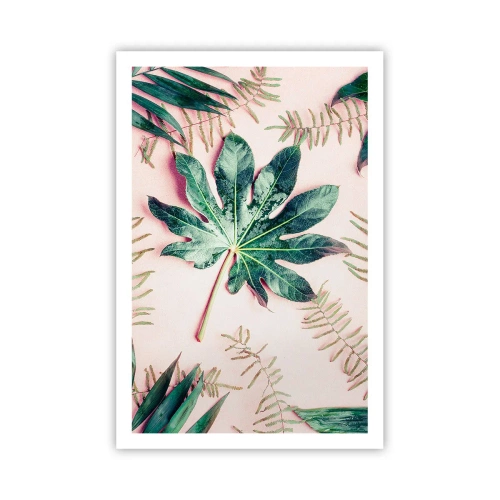 Plagát - Štúdia zelenej na ružovom pozadí - 61x91 cm