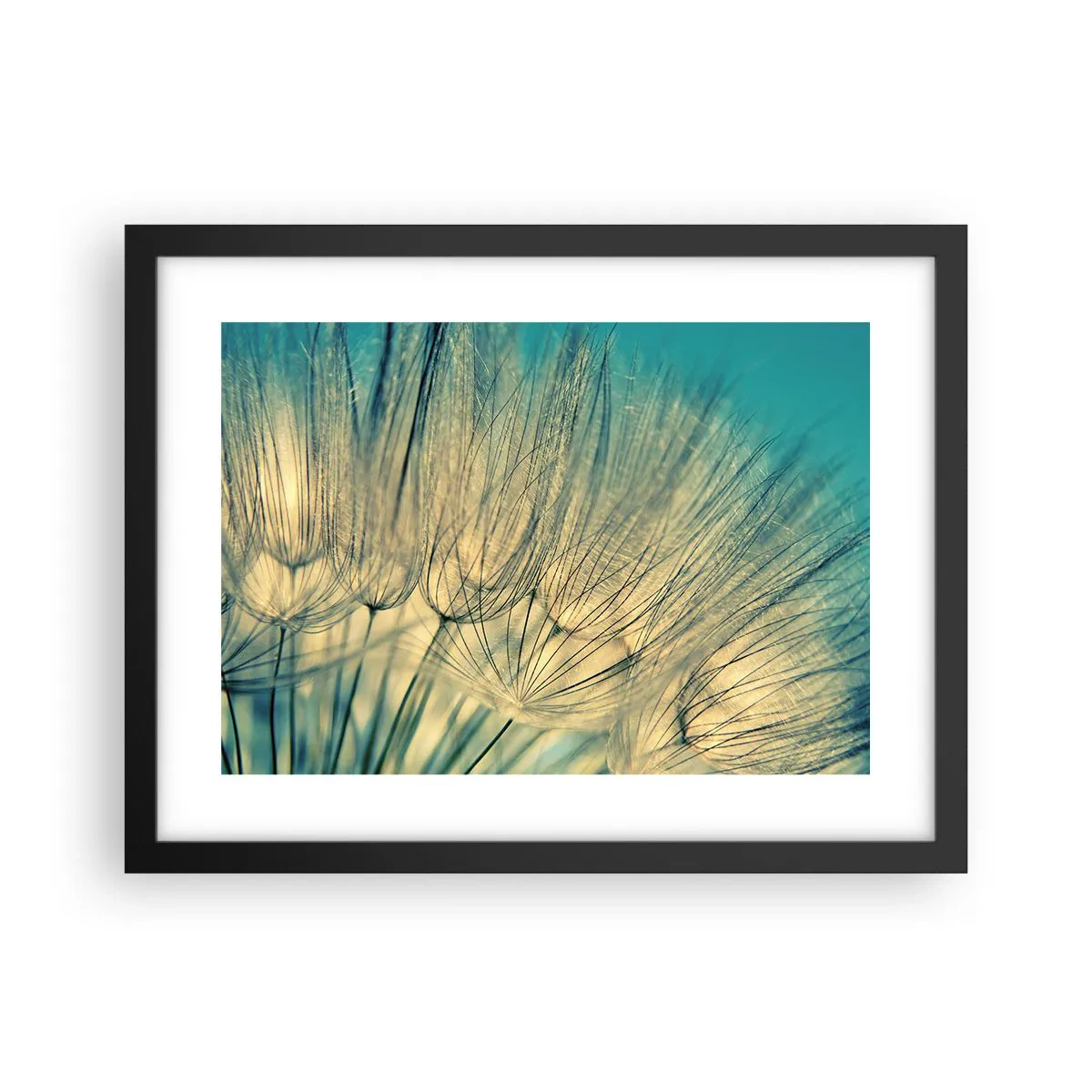 Plagát v čiernom ráme - Čakanie na vietor - 40x30 cm