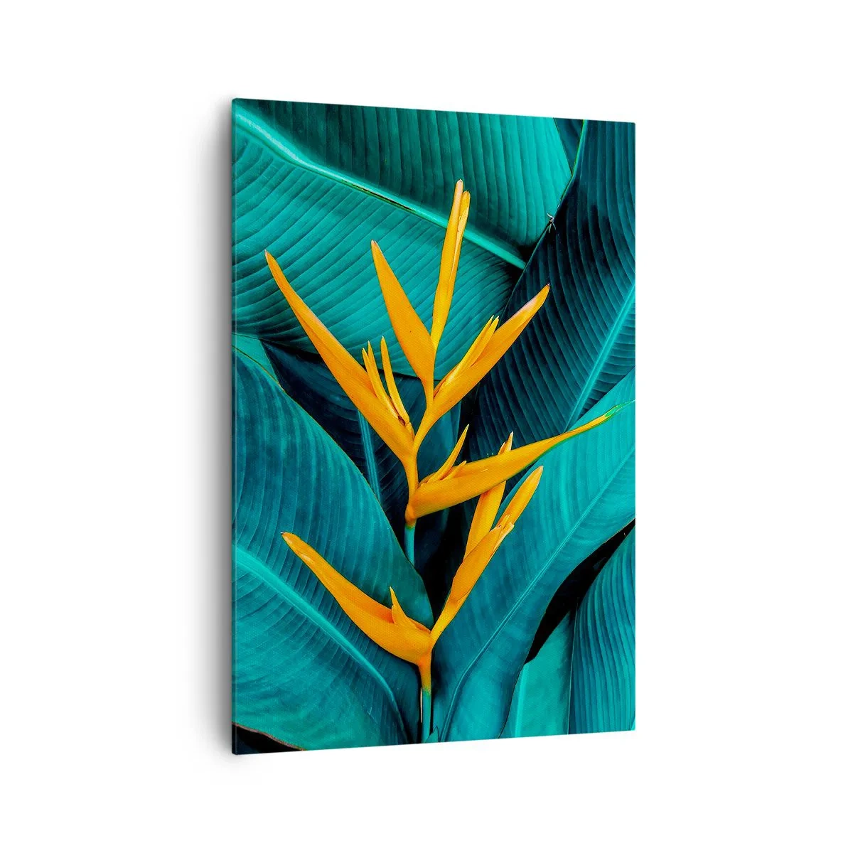 Obraz na plátne - Rajský kvet - 70x100 cm