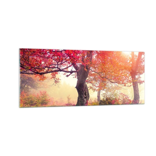 Obraz na skle - Šialenstvo rozkvetu - 100x40 cm