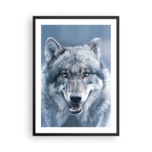 Plagát v čiernom ráme - Portrét vlka na pozadí zimnej krajiny - 50x70cm - Prijmete túto výzvu? - Moderná nástenná dekorácia do obývacej izby a spálne ARTTOR