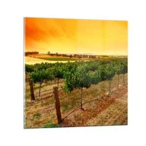 Obraz na skle - Napiť sa slnka - 30x30 cm