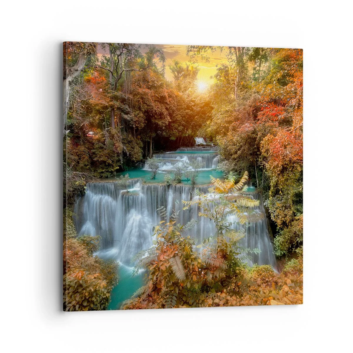 Obraz na plátne - Ukrytý poklad lesa - 70x70 cm