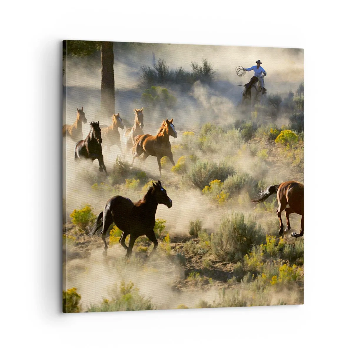 Obraz na plátne - Rivalita - sloboda alebo mužská sila? - 60x60 cm