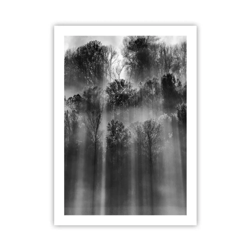 Plagát - V lúčoch svetla - 50x70 cm