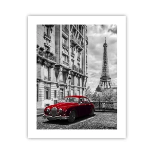 Plagát - Dravec v meste - 40x50 cm