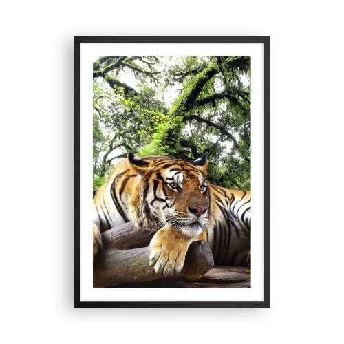 Plagát v čiernom ráme - Tiger odpočíva medzi zelenými stromami - 50x70cm - S úctou - Moderná nástenná dekorácia do obývacej izby a spálne ARTTOR