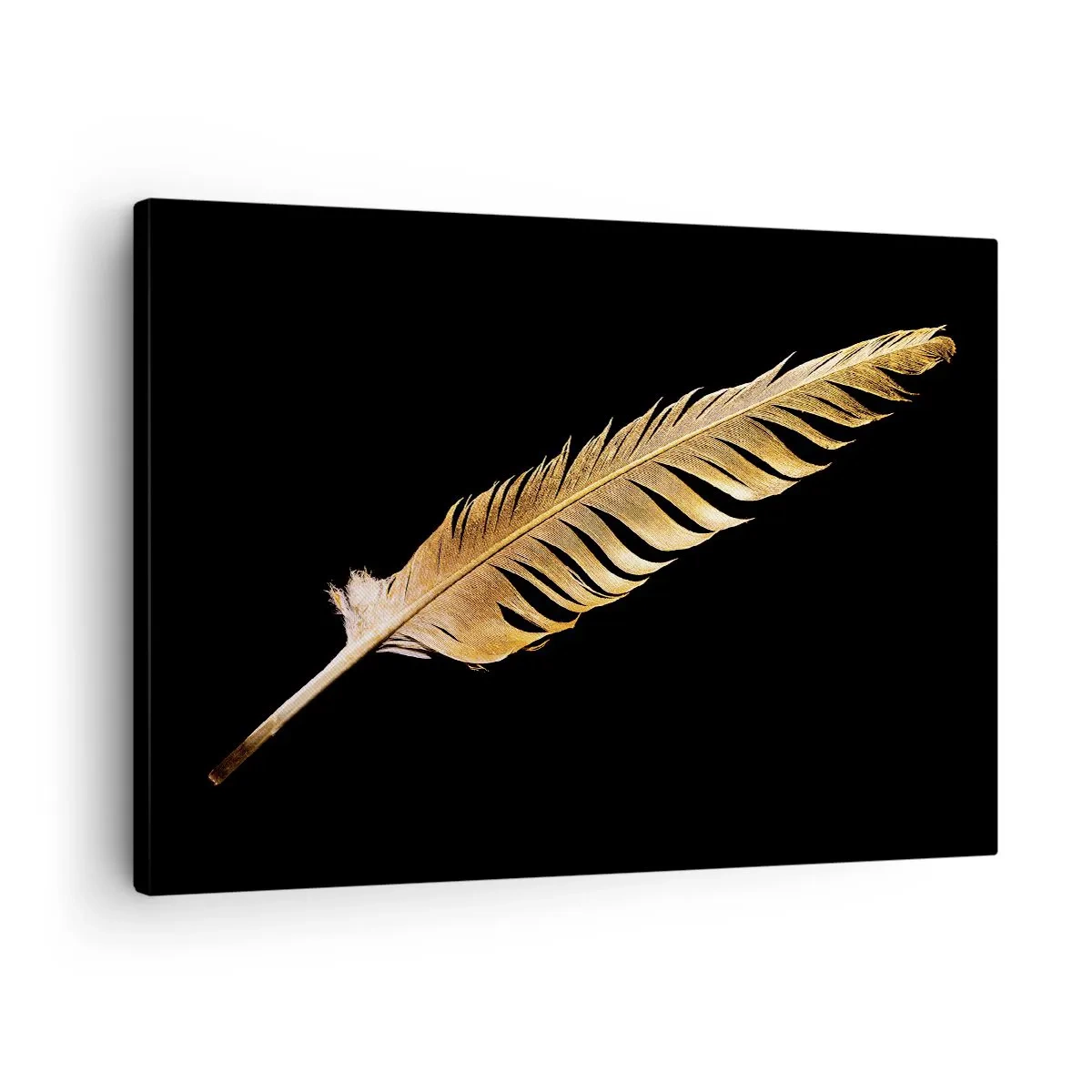Obraz na plátne - Zlaté pierko na čiernom pozadí - 70x50cm - Krásne pierko… - Moderná nástenná dekorácia do obývacej izby a spálne ARTTOR
