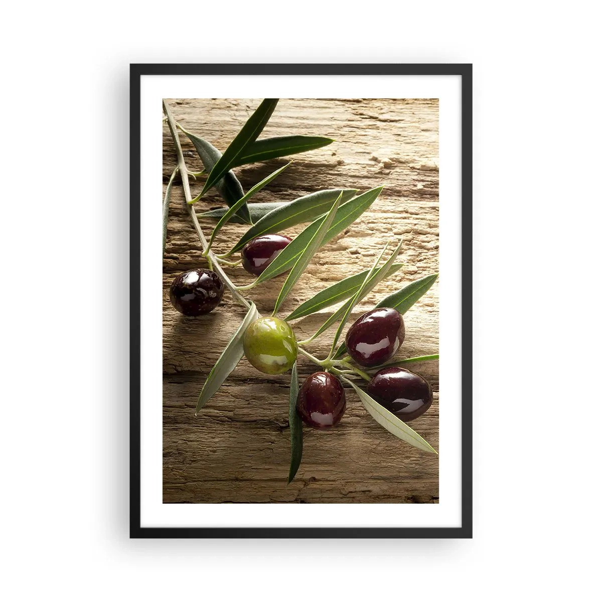 Plagát v čiernom ráme - Olivová ratolesť so zelenými a čiernymi olivami - 50x70cm - Priamo od prírody - Moderná nástenná dekorácia do obývacej izby a spálne ARTTOR