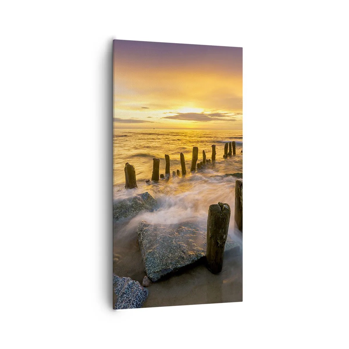 Obraz na plátne - Drsná krása Baltského mora  - 65x120 cm