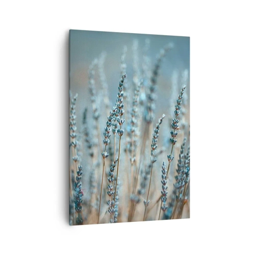 Obraz na plátne - Voňavý lán - 70x100 cm