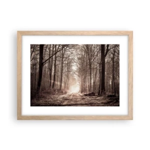 Plagát v ráme zo svetlého duba - Lesná katedrála - 40x30 cm