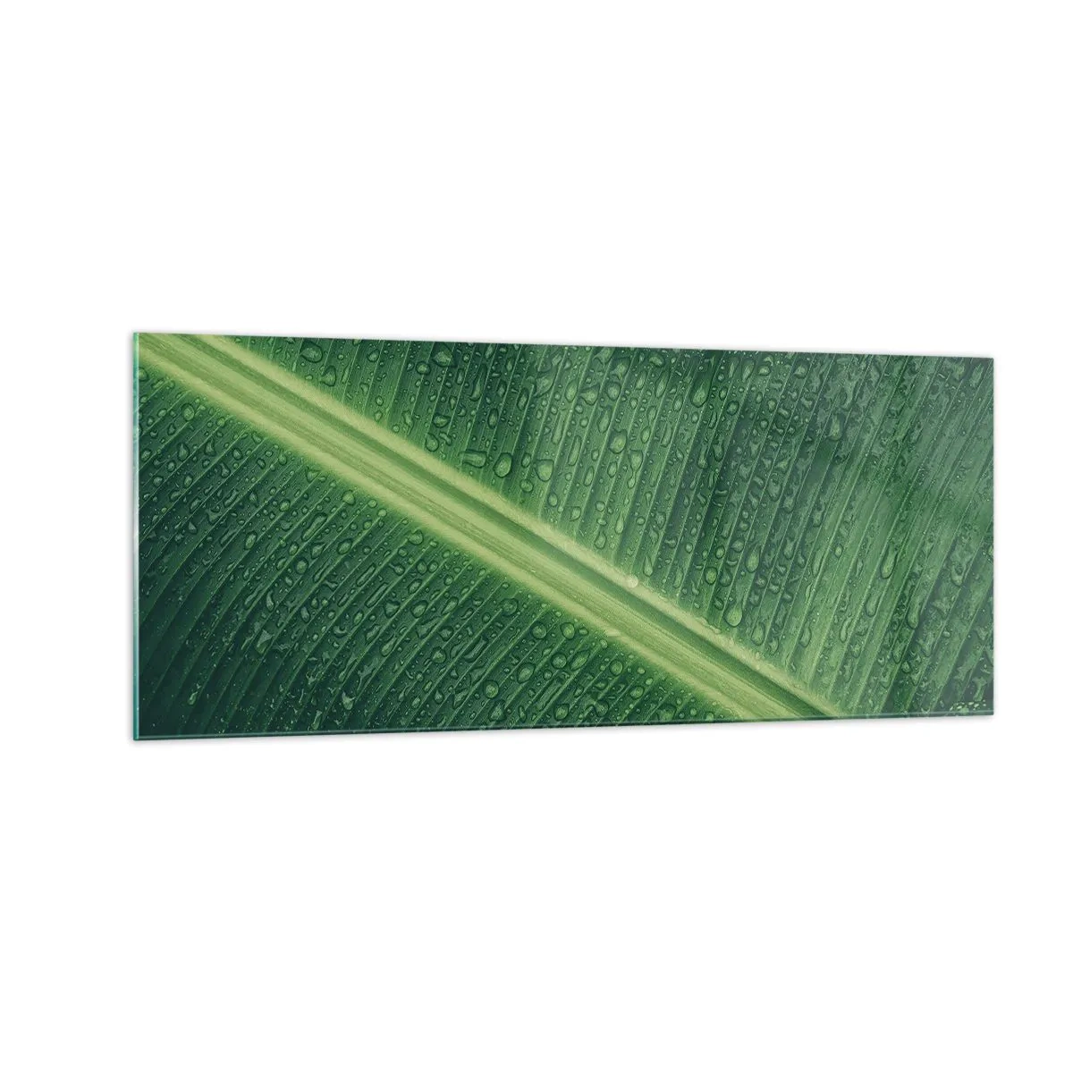 Obraz na skle - Štruktúra zelenej - 100x40 cm