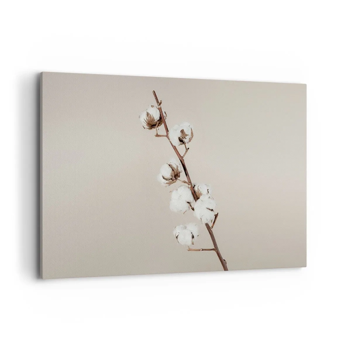 Obraz na plátne - Pri zdroji mäkkosti - 120x80 cm