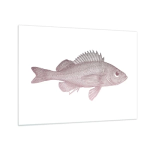 Obraz na skle - Grafika ryby s veľkým okom v retro štýle na bielom pozadí - 70x50cm - Ryba s veľkými očami - Moderná nástenná dekorácia do obývacej izby a spálne ARTTOR