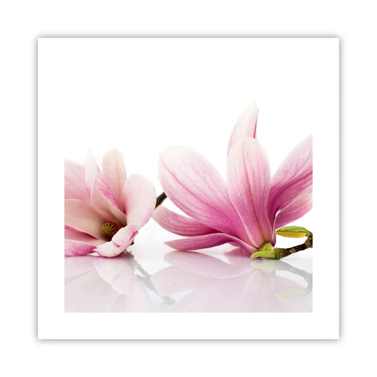 Plagát - Jemné ako závan jari - 40x40 cm