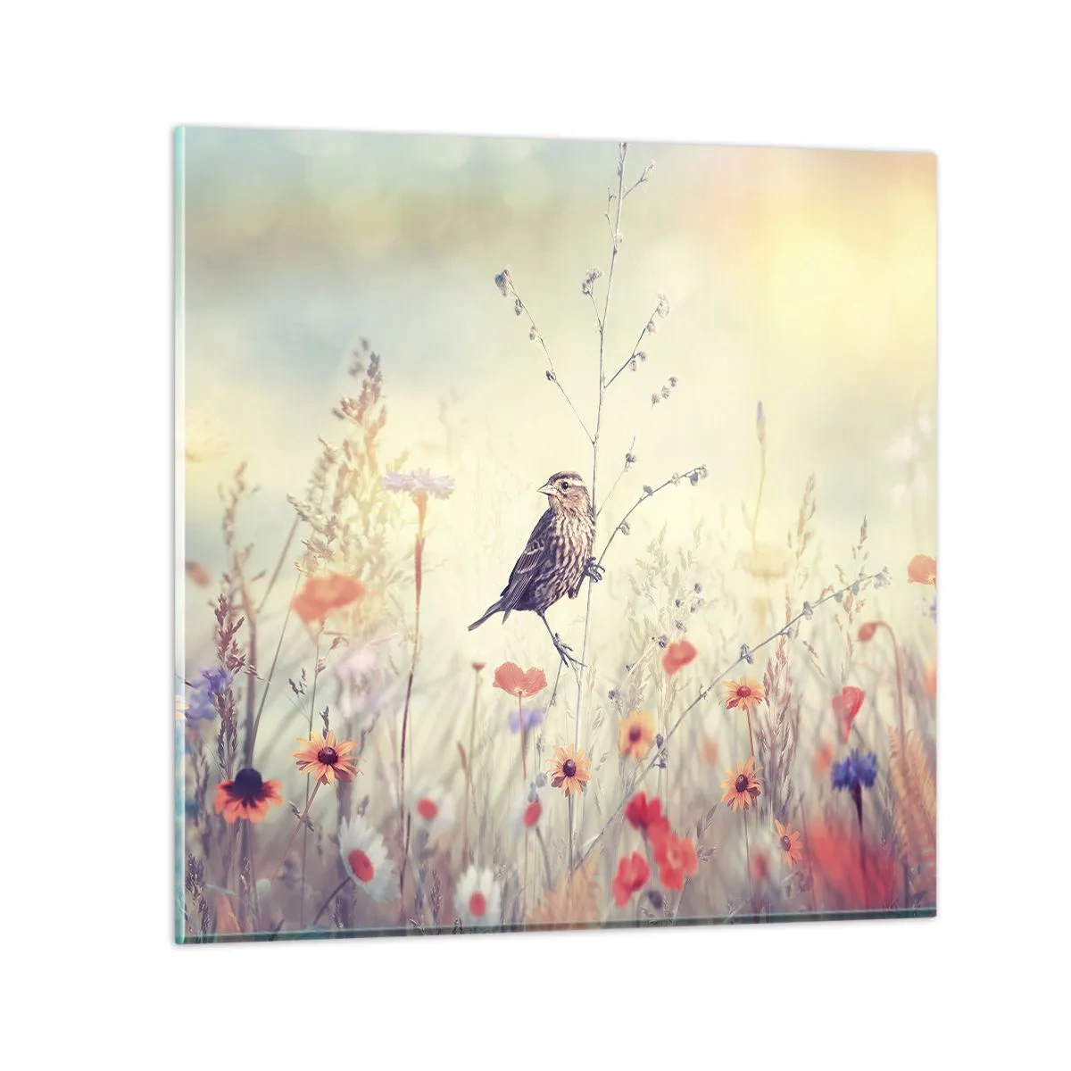 Obraz na skle - Portrét vtáka s lúkou v pozadí - 50x50 cm