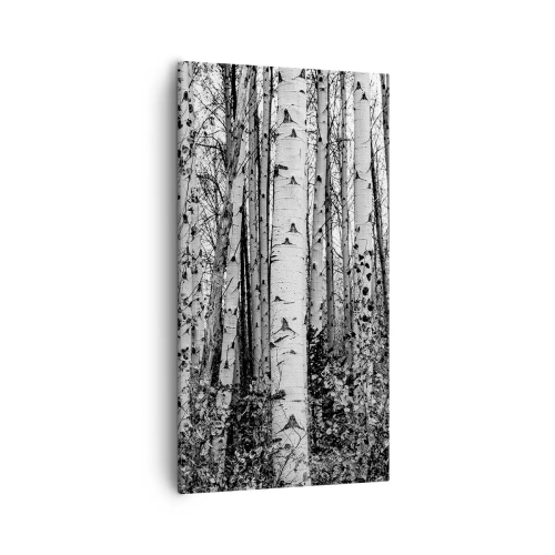 Obraz na plátne - Brezová kolonáda - 55x100 cm