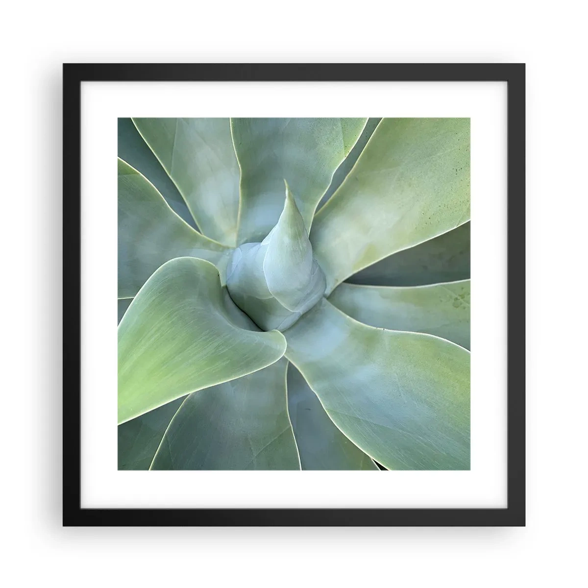 Plagát v čiernom ráme - Zrodenie zelene - 40x40 cm