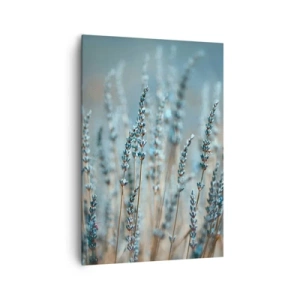 Obraz na plátne - Voňavý lán - 70x100 cm