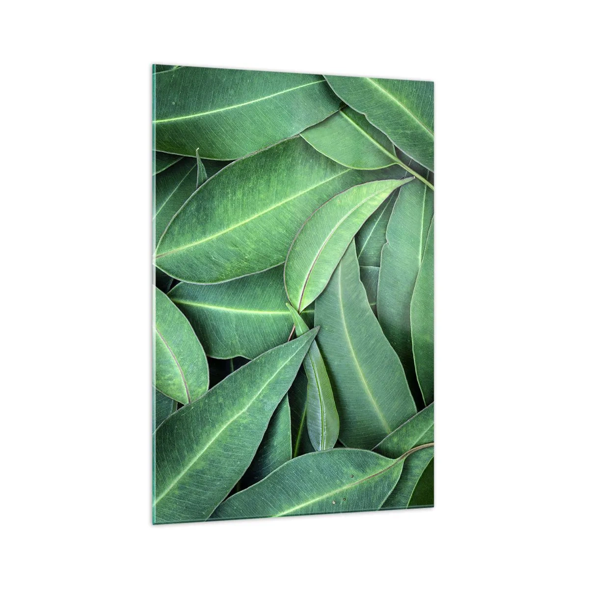 Obraz na skle - Šťavnaté a svieže - 70x100 cm