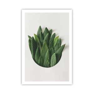 Plagát - Neukojiteľná zvedavosť - 61x91 cm