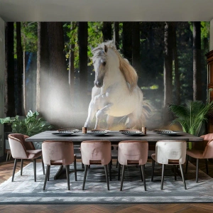 Fototapeta Standard Eco - Ako z fantasy románu - Zvieratá, Kôň, Krajina - 500x350 cm