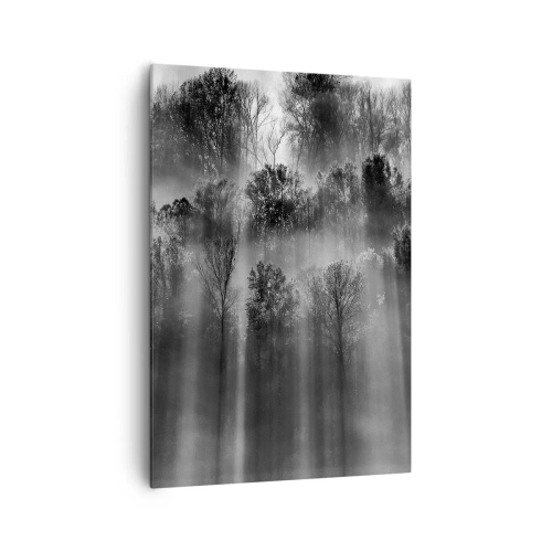 Obraz na plátne - V lúčoch svetla - 70x100 cm