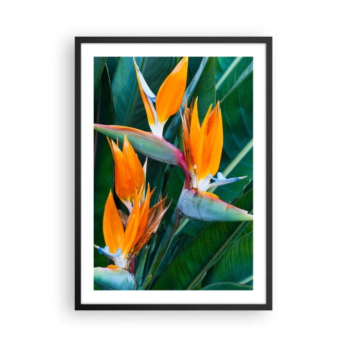 Plagát v čiernom ráme - Kvety strelície obklopené zelenými listami - 50x70cm - Je to kvetina, alebo vták? - Moderná nástenná dekorácia do obývacej izby a spálne ARTTOR