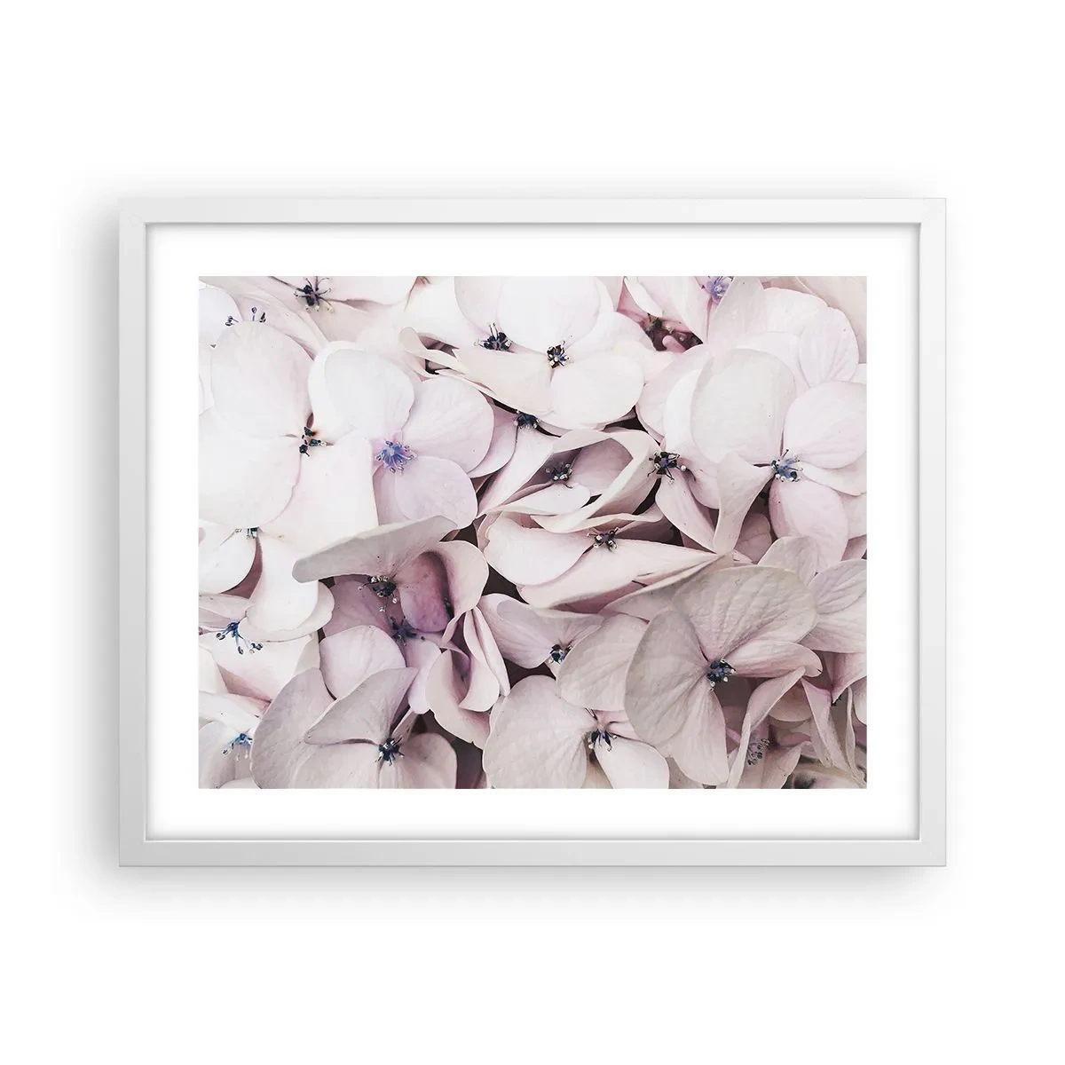 Plagát v bielom ráme - V záplave kvetov - 50x40 cm