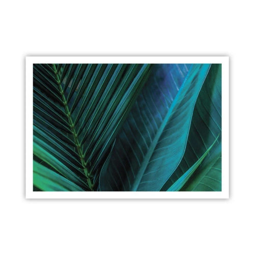Plagát - Anatómia zelene - 100x70 cm