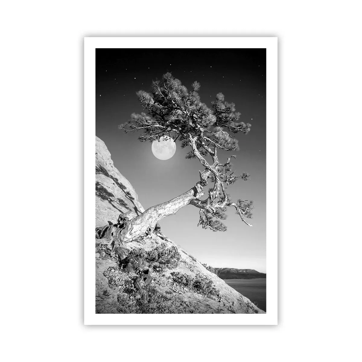 Plagát - Víťazná bojovníčka - 61x91 cm