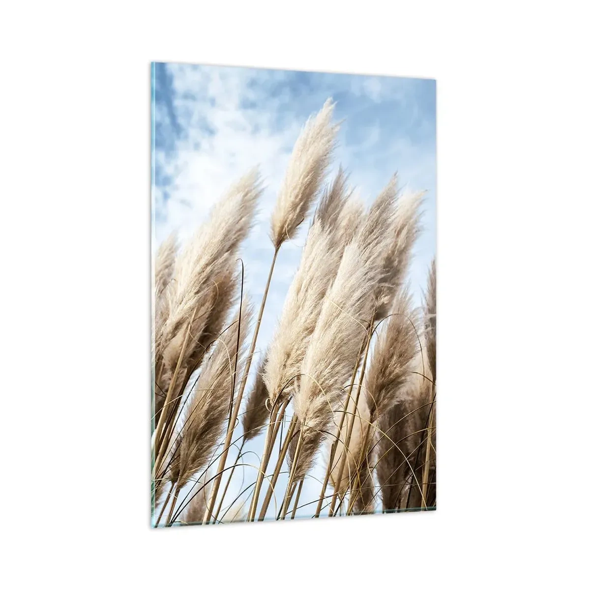 Obraz na skle - Slnečné a veterné pohladenie - 80x120 cm