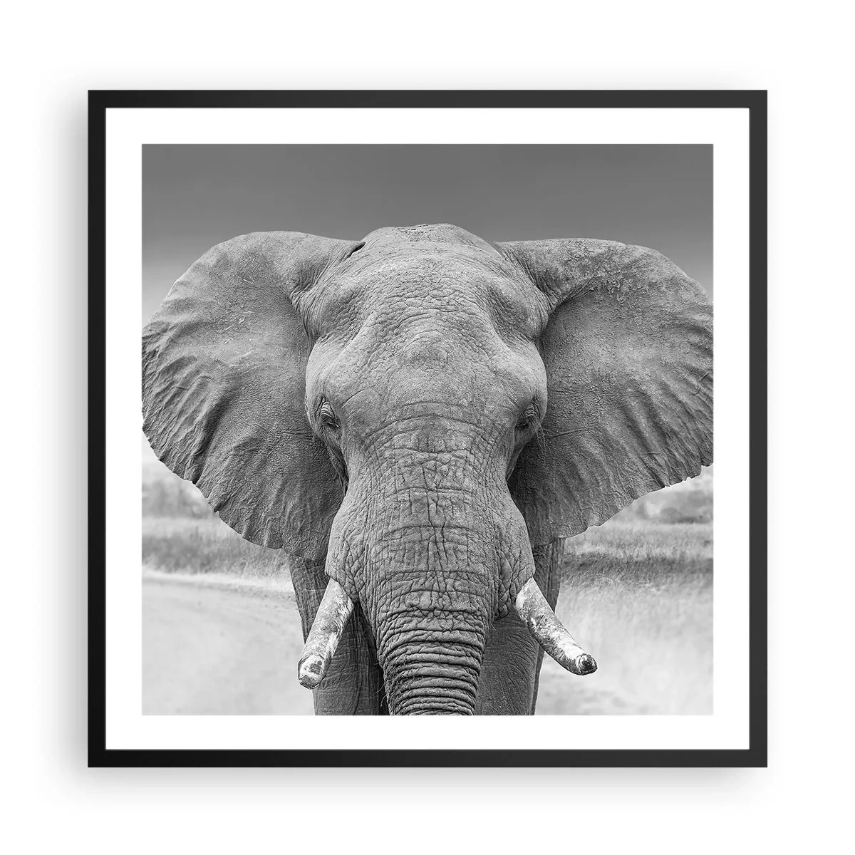 Plagát v čiernom ráme - Vitajte v mojom svete - 60x60 cm