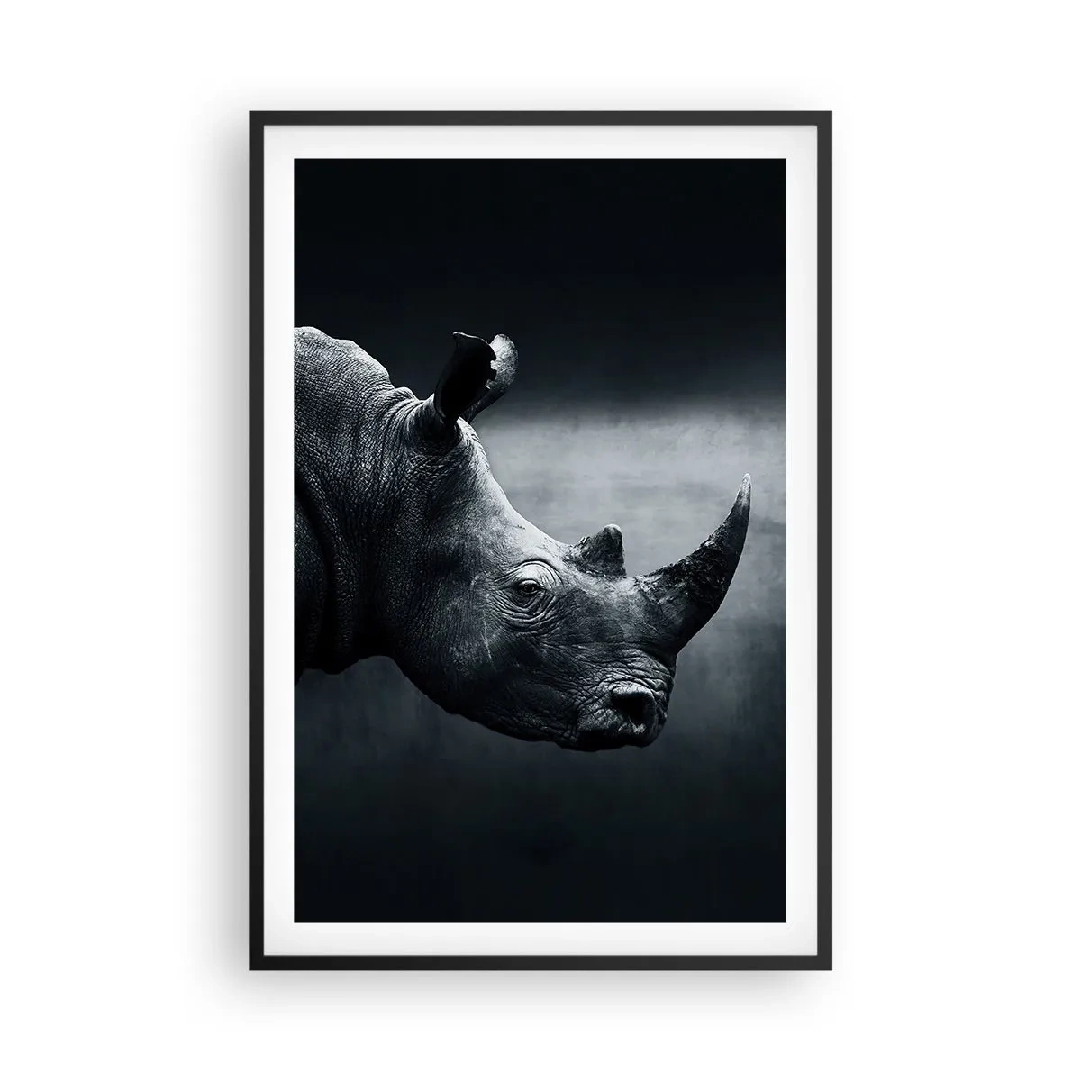 Plagát v čiernom ráme - Pravý profil - 61x91 cm
