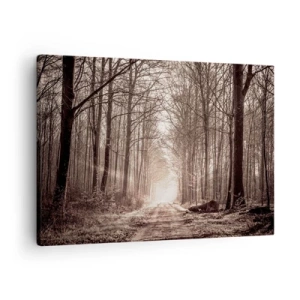 Obraz na plátne - Lesný chodník medzi stromami s sépiovými tónmi - 70x50cm - Lesná katedrála - Moderná nástenná dekorácia do obývacej izby a spálne ARTTOR