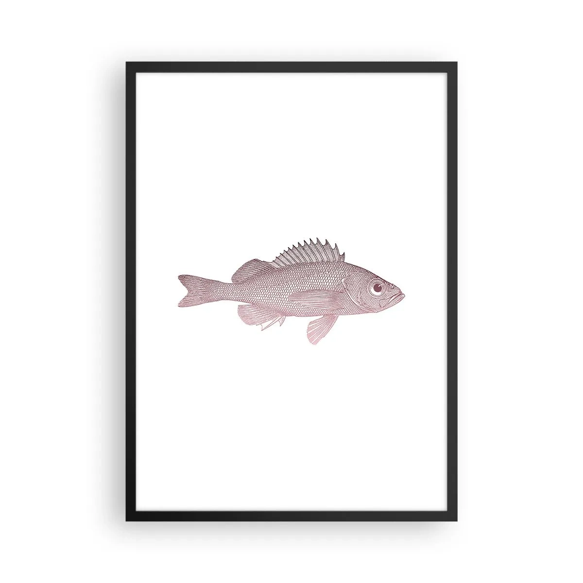 Plagát v čiernom ráme - Grafika ryby na bielom pozadí v minimalistickom štýle - 50x70cm - Ryba s veľkými očami - Moderná nástenná dekorácia do obývacej izby a spálne ARTTOR