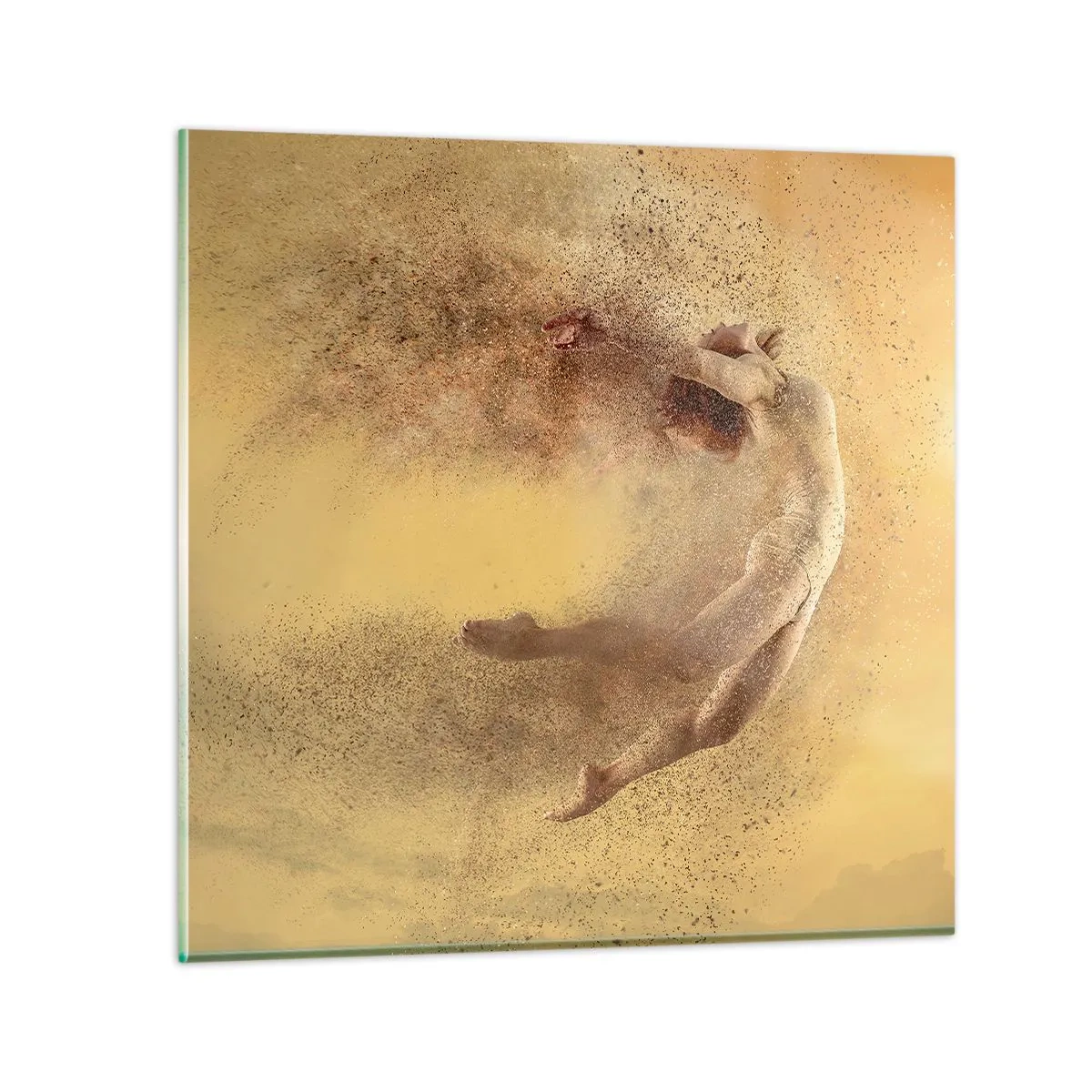 Obraz na skle - V tanečnom vytržení - 50x50 cm