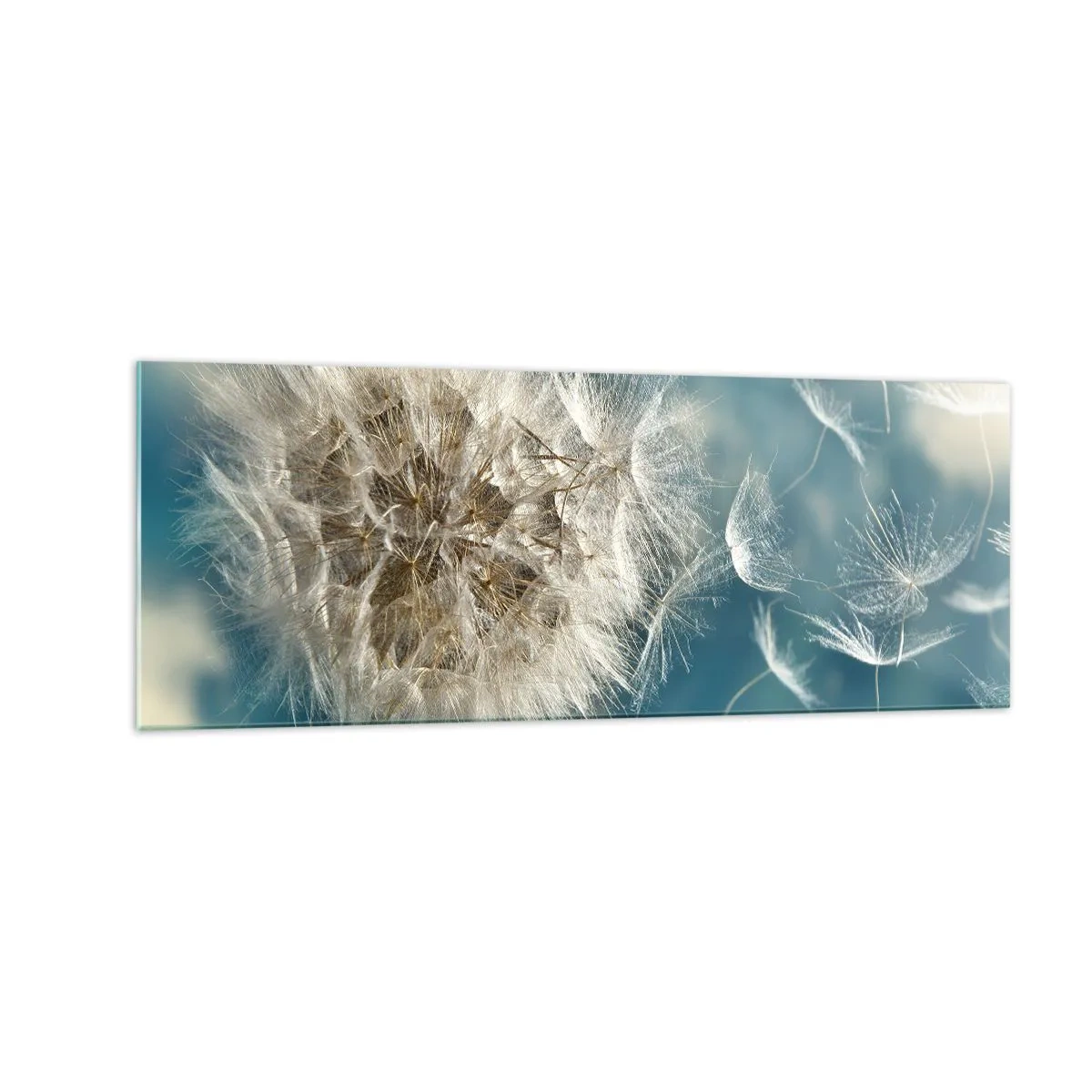 Obraz na skle - Dych anjela - 140x50 cm