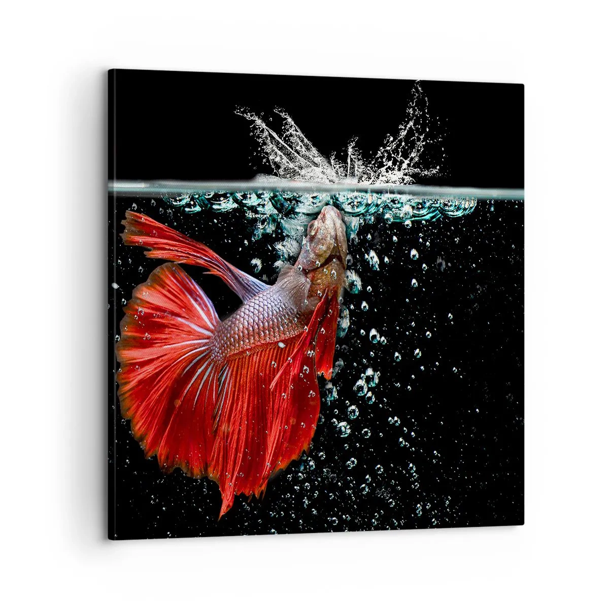 Obraz na plátne - Máš tri priania - 60x60 cm