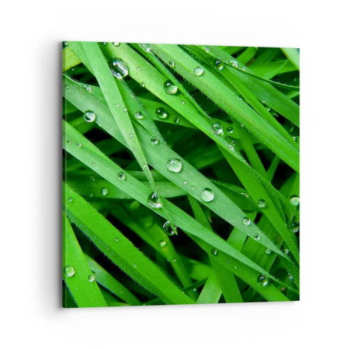 Obraz na plátne - Hrajte na zelenú - 70x70 cm