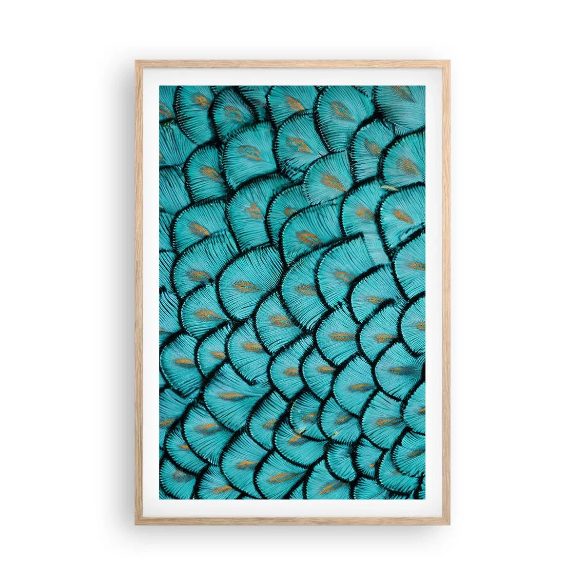Plagát v ráme zo svetlého duba - Veľká slávnosť peria - 61x91 cm