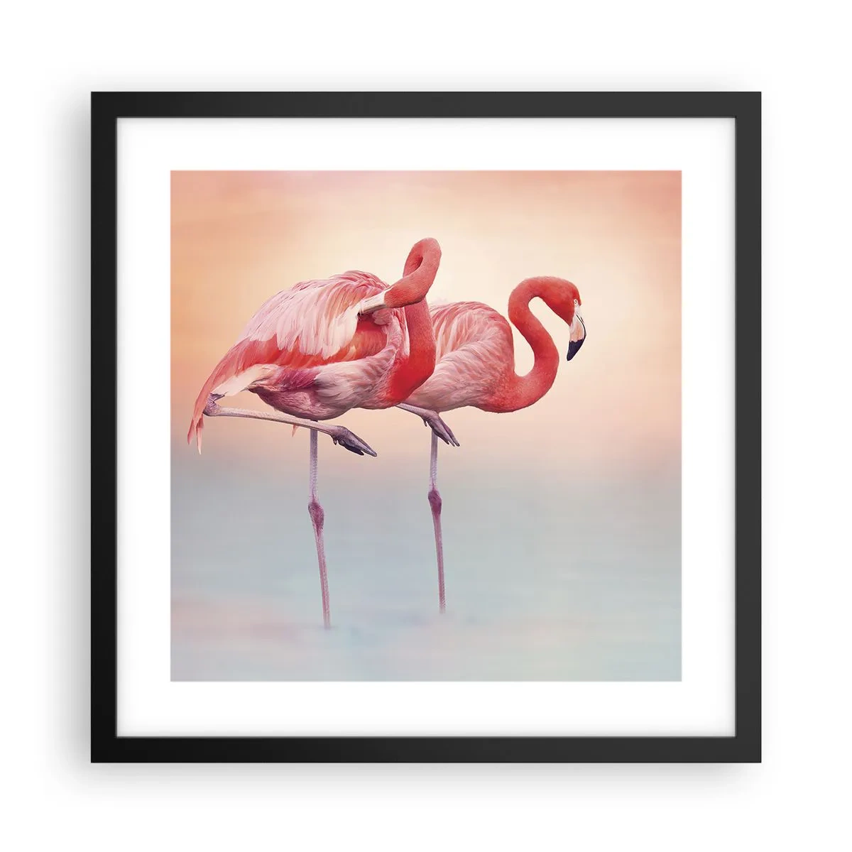 Plagát v čiernom ráme - Vo farbe zapadajúceho slnka - 40x40 cm