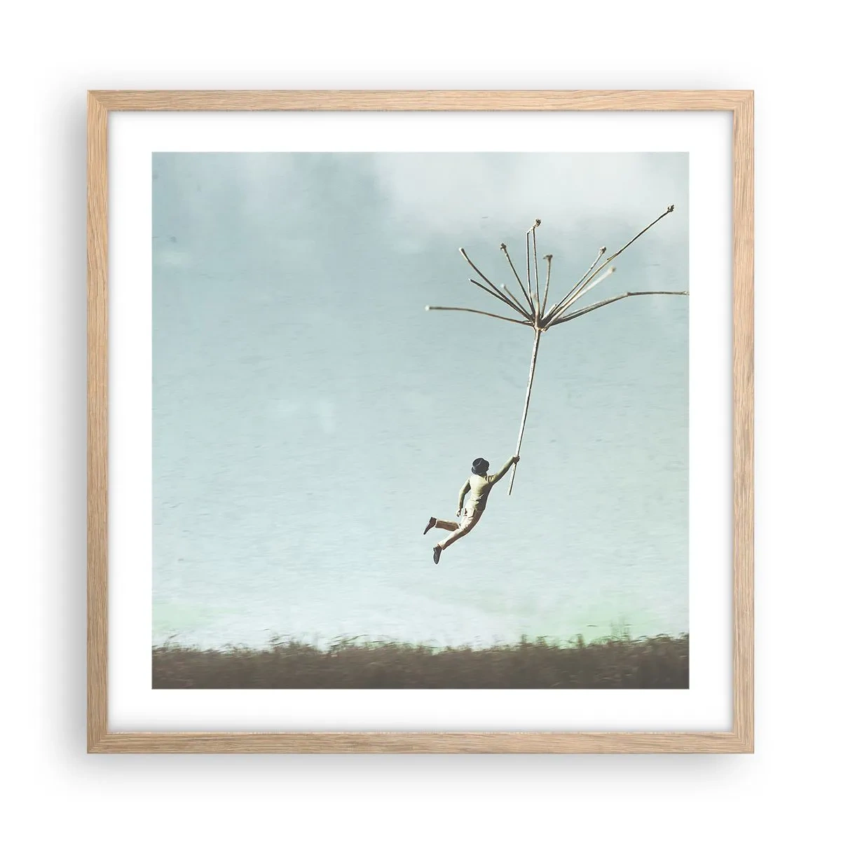 Plagát v ráme zo svetlého duba - Lietajúca púpava - 50x50 cm